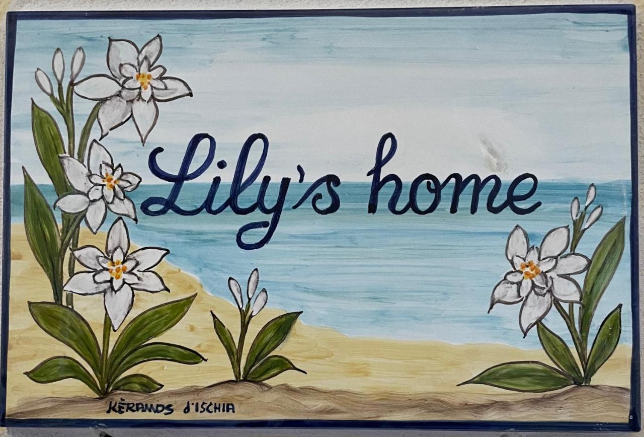 Lily'S Home ラッコ・アメーノ エクステリア 写真